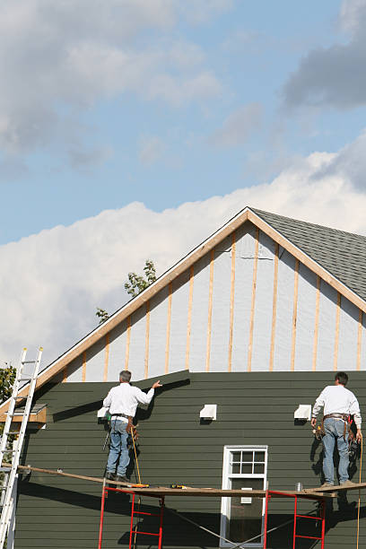 Best Stone Veneer Siding  in St Ignace, MI
