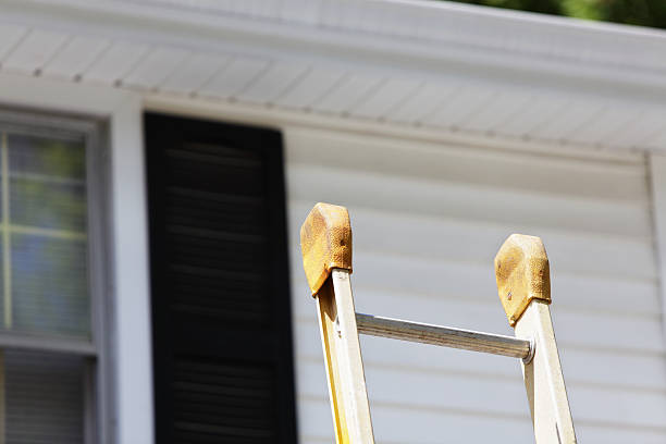 Best Historical Building Siding Restoration  in St Ignace, MI