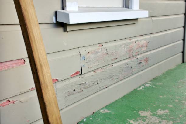 Best Wood Siding Installation  in St Ignace, MI